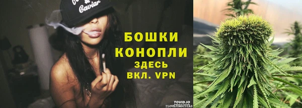 крисы Беломорск