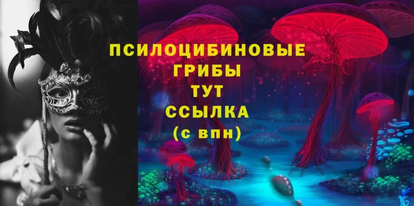 дмт Баксан